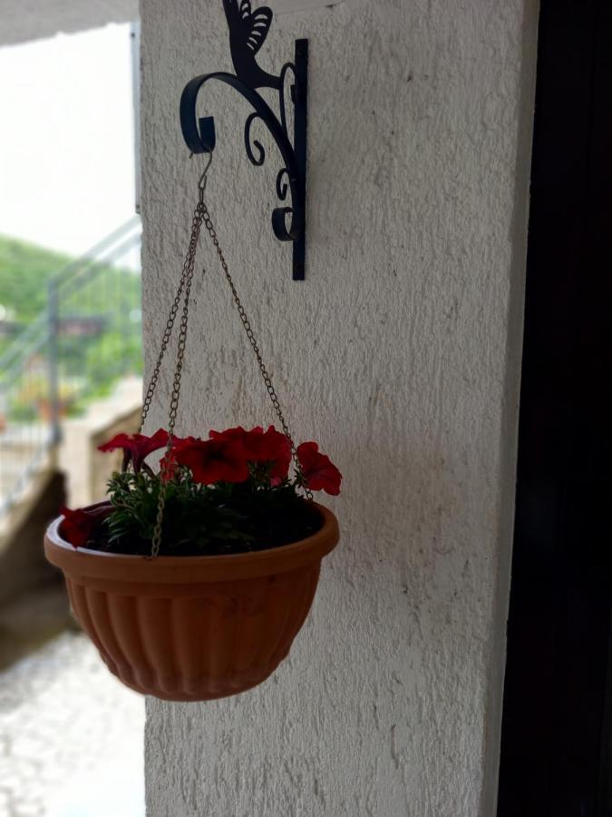 Apartment Ivana 센 외부 사진